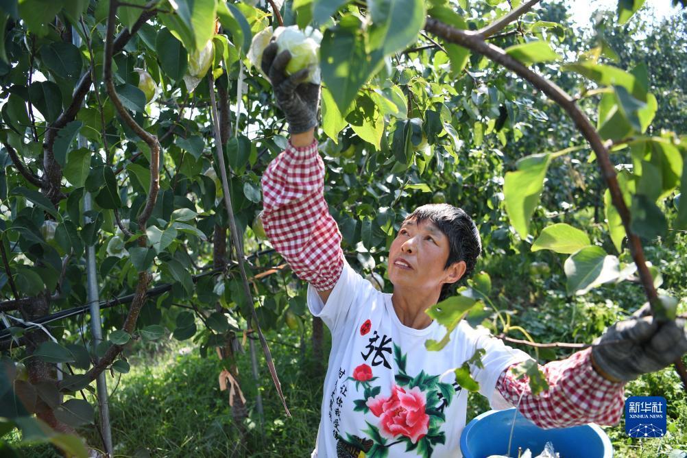 优游平台